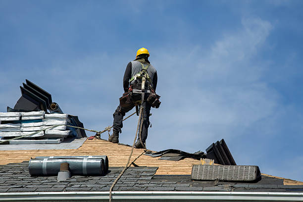 Professional Metal Roofing technician working in Drayden, MD